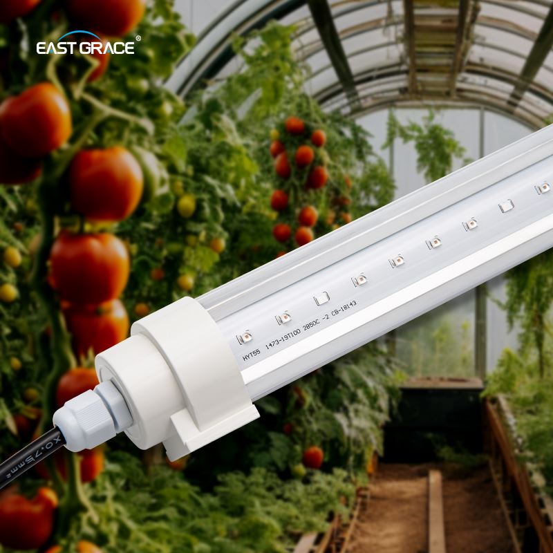 IP65 Interlighting Plant LED Grow Light