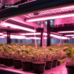 LED GROW LICHT