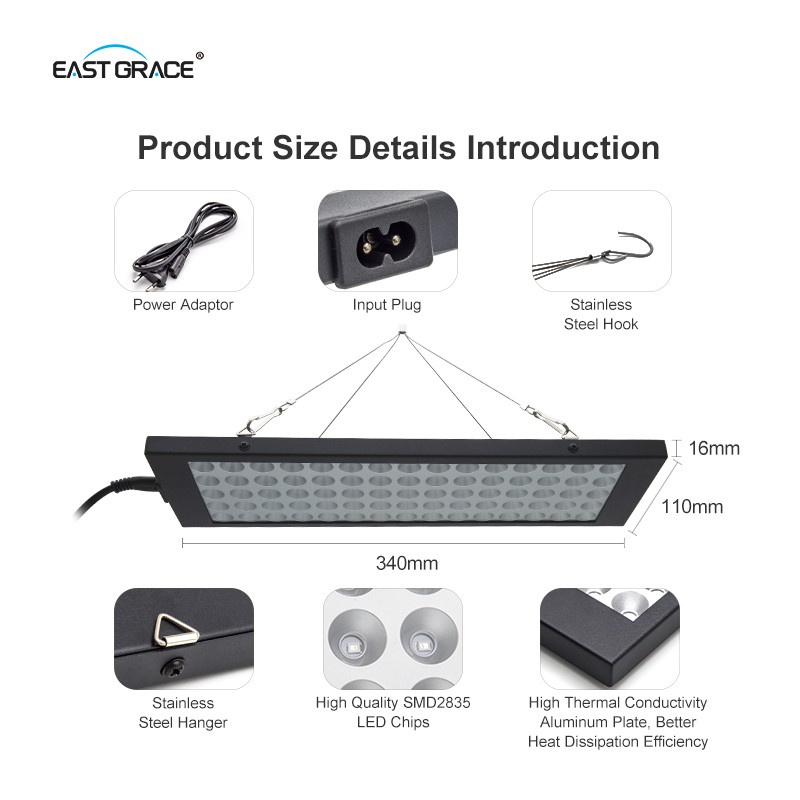 product-800-800 product-800-800