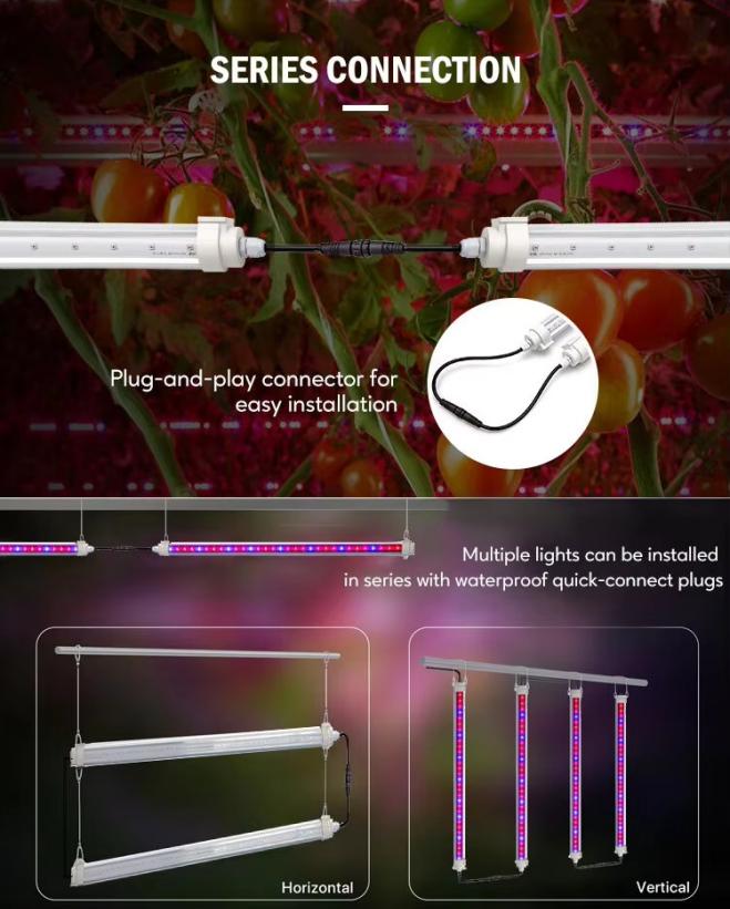 Interlighting Plant LED Grow Light8
