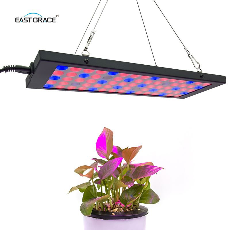Slim LED Grow Light Panel