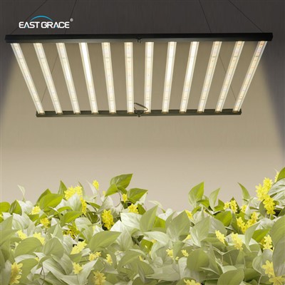 High Power LED -kweeklamp voor binnen verticale landbouw