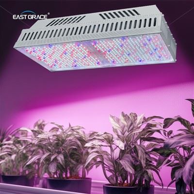 1200 800 W Top1930E LED GROW LICHT BEMIDING