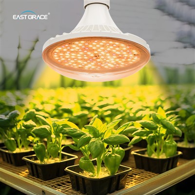 UFO LED GROW LICHT LICHT C VOOR BUITEN TUINKING
